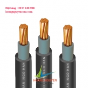 Cáp điện lực 1 ruột đồng cách điện PVC, vỏ PVC(CVV-1R-0.6/1KV) TCVN 5935